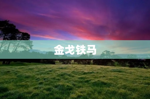 金戈铁马:中华文明的辉煌历程 金戈铁马:中华文明的辉煌历程