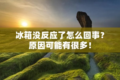 冰箱没反应了怎么回事?原因可能有很多! 冰箱没反应了怎么回事?原因可能有很多!