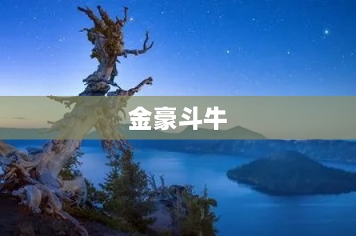 金豪斗牛:一款**好玩的牛牛游戏 金豪斗牛:一款**好玩的牛牛游戏