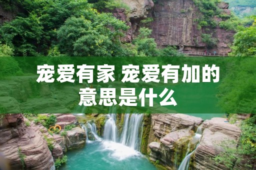 宠爱有家 宠爱有加的意思是什么
