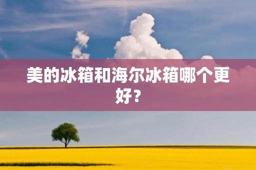 美的冰箱和海尔冰箱哪个更好? 美的冰箱和海尔冰箱哪个更好?