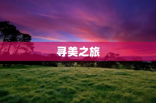 寻美之旅：漫步花海，领略自然之美