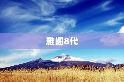 雅阁8代:舒适、安全、高效的完美结合 雅阁8代:舒适、安全、高效的完美结合