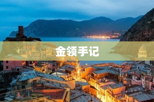 金领手记：如何成为一名优秀的职场人