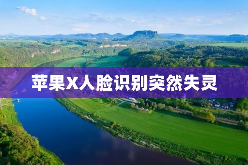 苹果X人脸识别突然失灵:用户隐私安全受到威胁