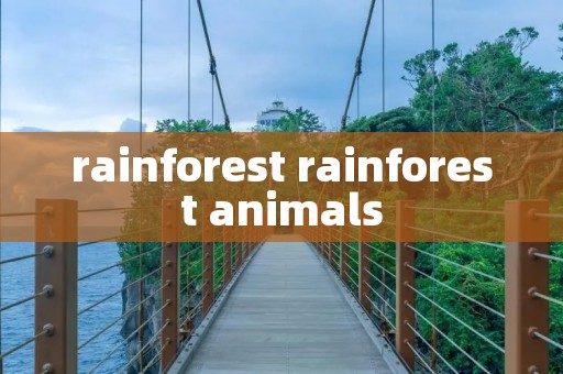 rainforest rainforest animals rainforest rainforest animals