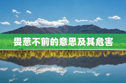 畏葸不前的意思及其危害