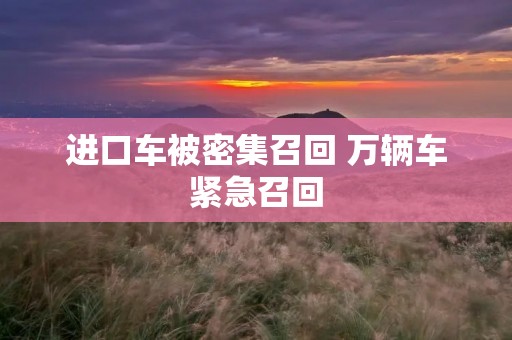 进口车被密集召回 万辆车紧急召回