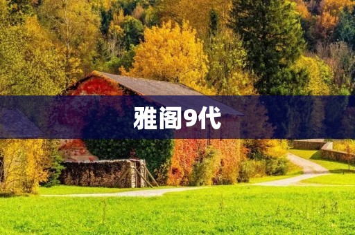 雅阁9代:一款完美融合科技与舒适的豪华轿车 雅阁9代:一款完美融合科技与舒适的豪华轿车