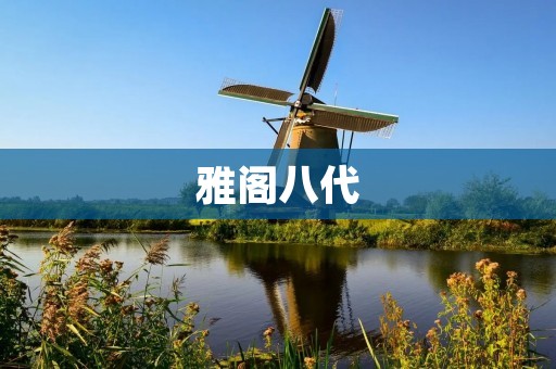 雅阁八代：安全舒适的驾乘体验