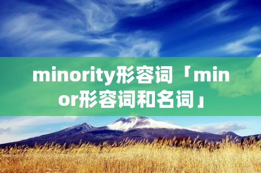 minority形容词「minor形容词和名词」