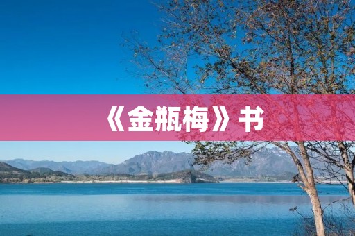 《金瓶梅》书：一个中国古代社会的缩影