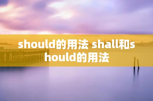 should的用法 shall和should的用法