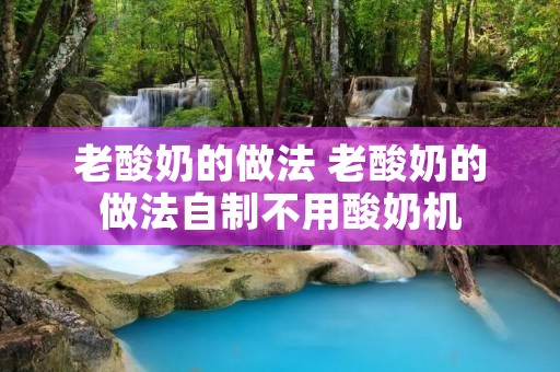 老酸奶的做法 老酸奶的做法自制不用酸奶机
