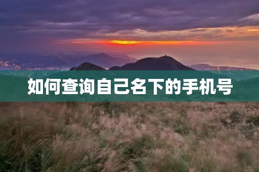 如何查询自己名下的手机号