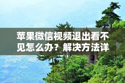 苹果微信视频退出看不见怎么办?解决方法详解!