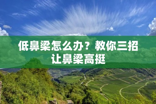 低鼻梁怎么办?教你三招让鼻梁高挺 低鼻梁怎么办?教你三招让鼻梁高挺