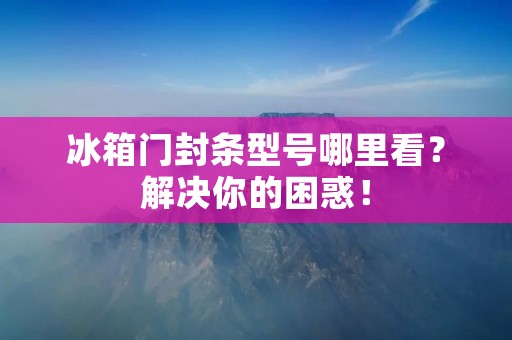 冰箱门封条型号哪里看？解决你的困惑！