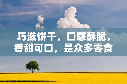 巧滋饼干，口感酥脆，香甜可口，是众多零食爱好者的最爱。那么，如何在家制作美味的巧滋饼干呢？下面就为大家介绍一下巧滋饼干的制作方法。