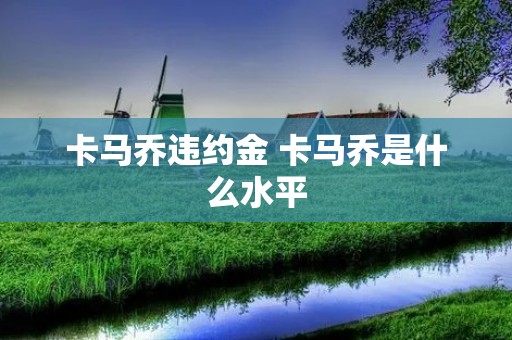卡马乔违约金 卡马乔是什么水平