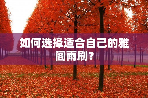 如何选择适合自己的雅阁雨刷？