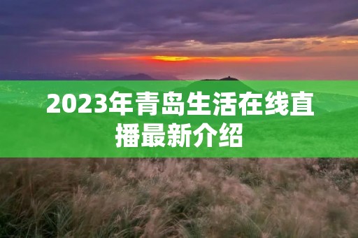 2023年青岛生活在线直播最新介绍