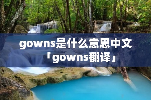 gowns是什么意思中文「gowns翻译」