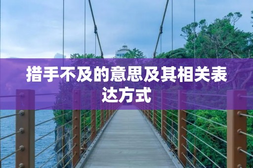 措手不及的意思及其相关表达方式