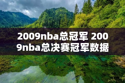 2009nba总冠军 2009nba总决赛冠军数据