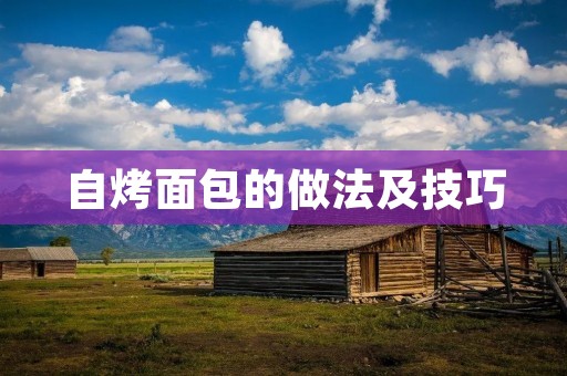 自烤面包的做法及技巧 自烤面包的做法及技巧