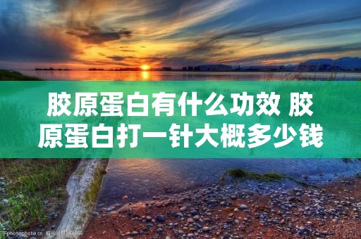 胶原蛋白有什么功效 胶原蛋白打一针大概多少钱啊