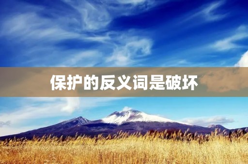 保护的反义词是破坏