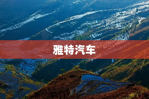 雅特汽车：中国自主品牌的领军者