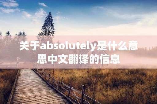 关于absolutely是什么意思中文翻译的信息