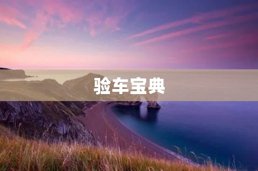 验车宝典：让你轻松了解汽车检测