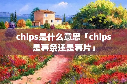 chips是什么意思「chips是薯条还是薯片」