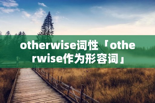 otherwise词性「otherwise作为形容词」