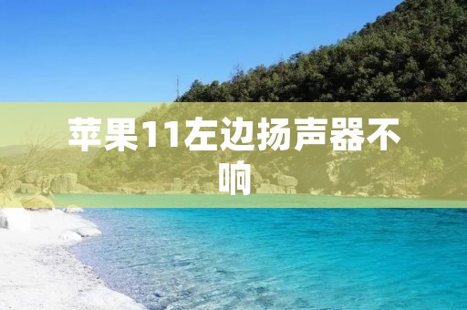 苹果11左边扬声器不响：原因及解决方法
