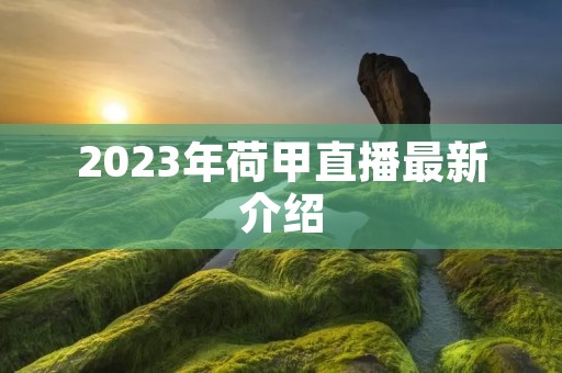 2023年荷甲直播最新介绍