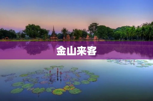 金山来客：探寻古老的历史与现代的文明