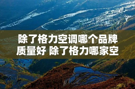 除了格力空调哪个品牌质量好 除了格力哪家空调好