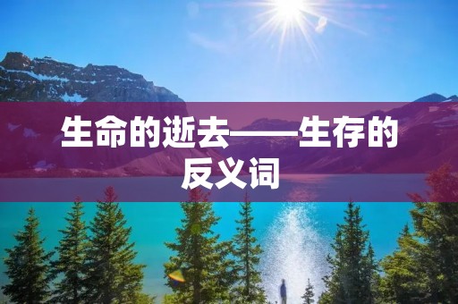 生命的逝去——生存的反义词 生命的逝去——生存的反义词