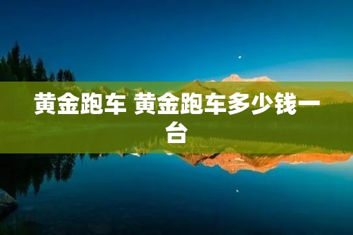黄金跑车 黄金跑车多少钱一台