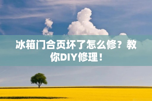 冰箱门合页坏了怎么修？教你DIY修理！