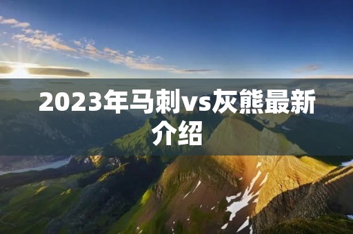 2023年马刺vs灰熊最新介绍 2023年马刺vs灰熊最新介绍