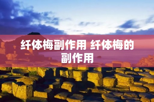 纤体梅副作用 纤体梅的副作用