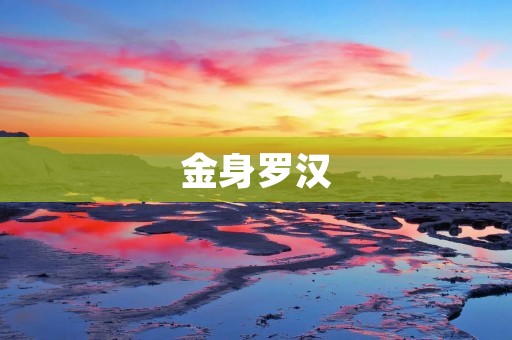金身罗汉:佛教文化中的珍贵艺术品 金身罗汉:佛教文化中的珍贵艺术品