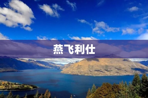 燕飞利仕:打造世界一流的智能照明解决方案 燕飞利仕:打造世界一流的智能照明解决方案