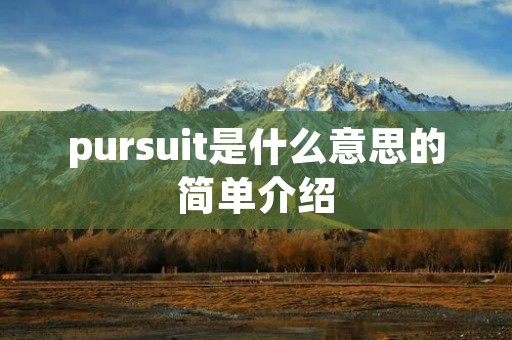 pursuit是什么意思的简单介绍