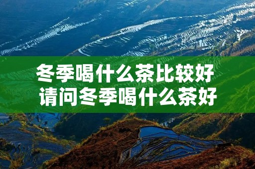 冬季喝什么茶比较好 请问冬季喝什么茶好